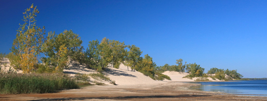 Dunes Beach