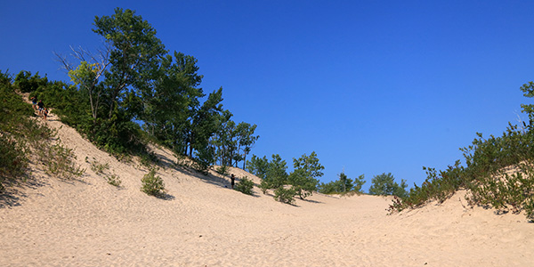 Exploring the Dunes