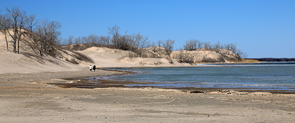 Low Water at Dunes Beach