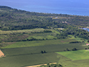 MacDonald Farm, Block H, West Point