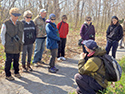 Mother's Day Wildflower Walk 2016