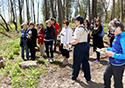 Mother's Day Wildflower Walk and Tea