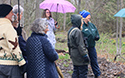 Mother's day Wildfower Walk and Tea 2019