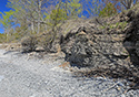 West Point Shoreline Erosion