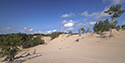 Fall Views of Sandbanks Dunes