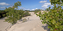 Fall Views of Sandbanks Dunes