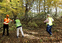 Buckthorn Blitz 2024