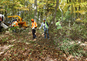 Buckthorn Blitz 2024