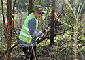 Buckthorn Blitz 2024