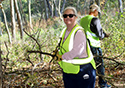 Buckthorn Blitz 2024