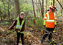 Buckthorn Blitz 2024