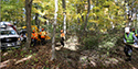 Buckthorn Blitz 2024